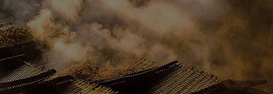 江西茶油
